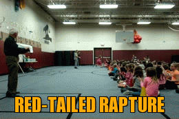 RED-TAILED RAPTURE | Generated image from gifs,animals generated with the Imgflip Animated GIF Generator